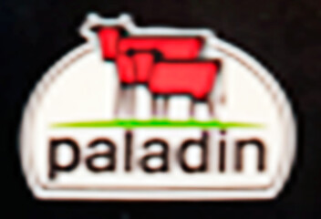 Paladin