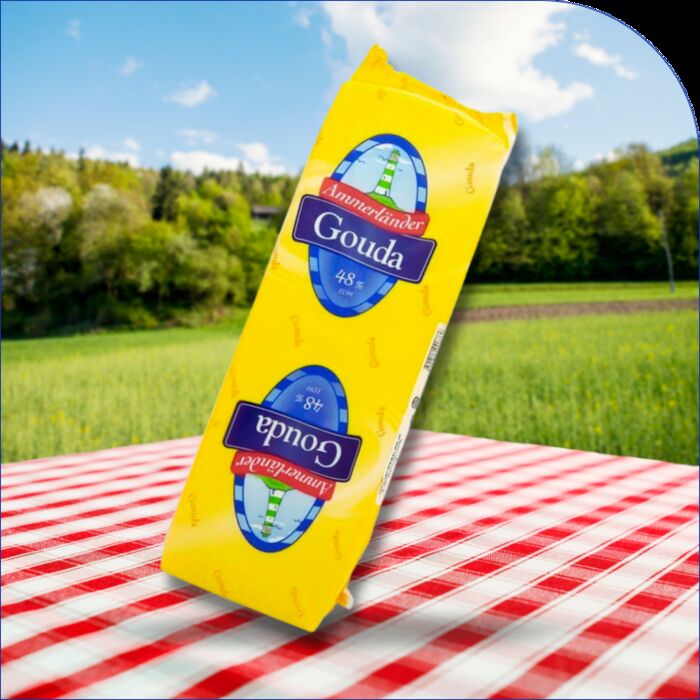 QUESO GOUDA