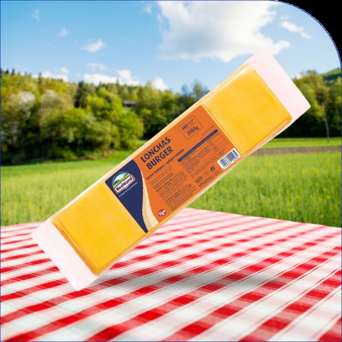 CHEDDAR (LONCHAS)