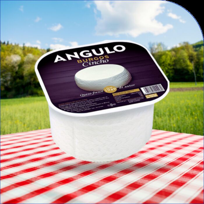 QUESO BURGOS (TARRINA)